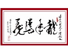 龙年腾飞------------------张高贤(香港)初22组【书法作品】
