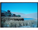 西域风光------------------杨煌达(厦门)高中83届【摄影作品】