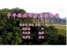 中华侯姓世界总会会歌(视频)----谱曲：侯世恭(梅山)初13组【曲艺作品】