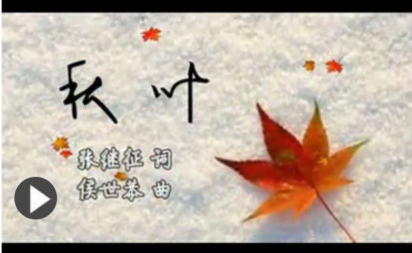 秋  叶------作曲：侯世恭(南安)初13组/作词:香港 张继征【曲艺作品】