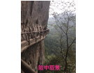 鸳鸯溪游照----------------攝影：陈章扁(南安)高十四组【攝影作品】