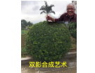无处不乐------------------摄影：陈章扁(南安)高十四组【摄影作品】
